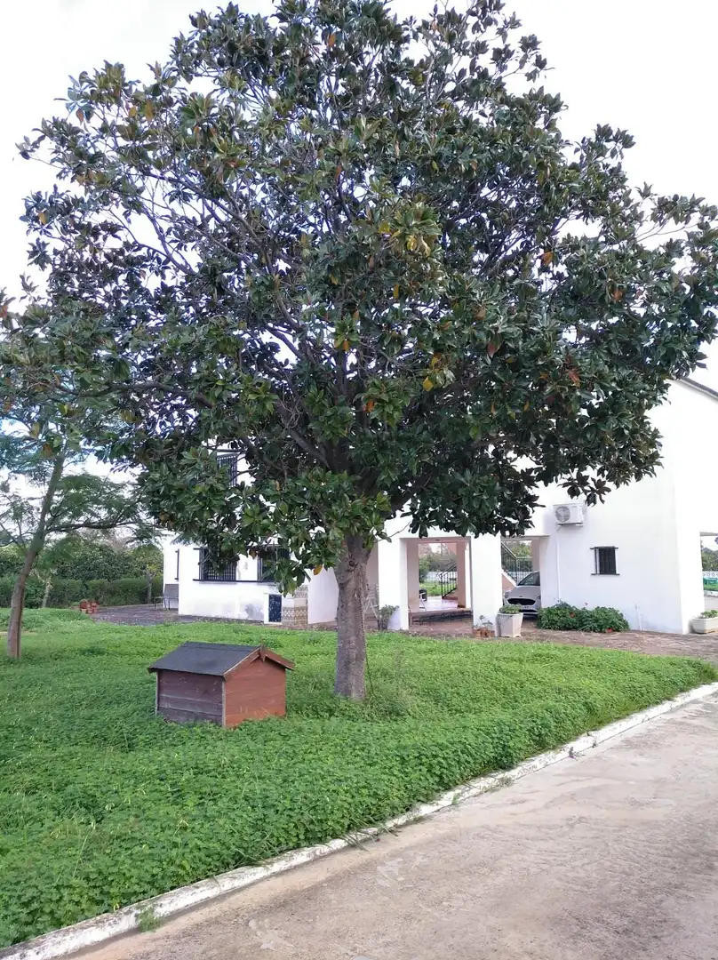 Villa con piscina in vendita a Urbanitzacions i Pedanies Nord, imagen 54