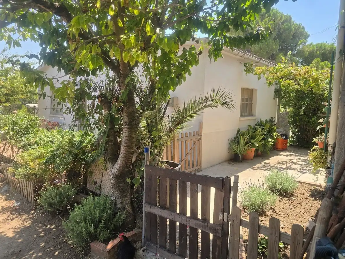 Jardín de Edificio en venta en Terrassa