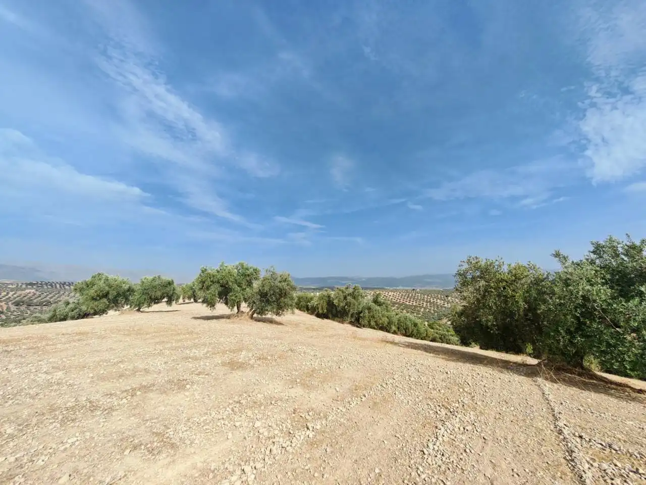 Land for sale in Salar