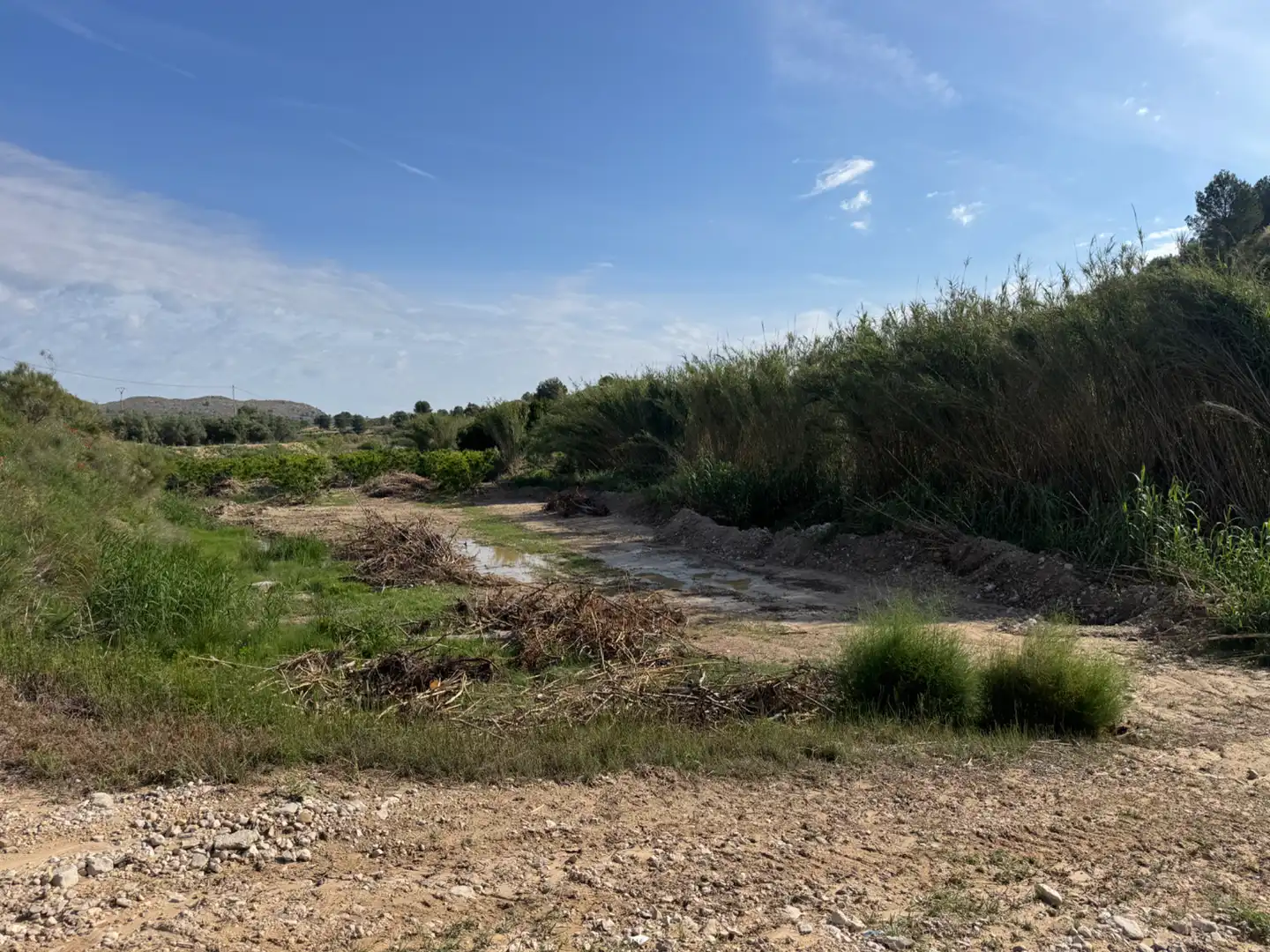 Terreno rustico in vendita a Calle 7.Canara 76, imagen 33
