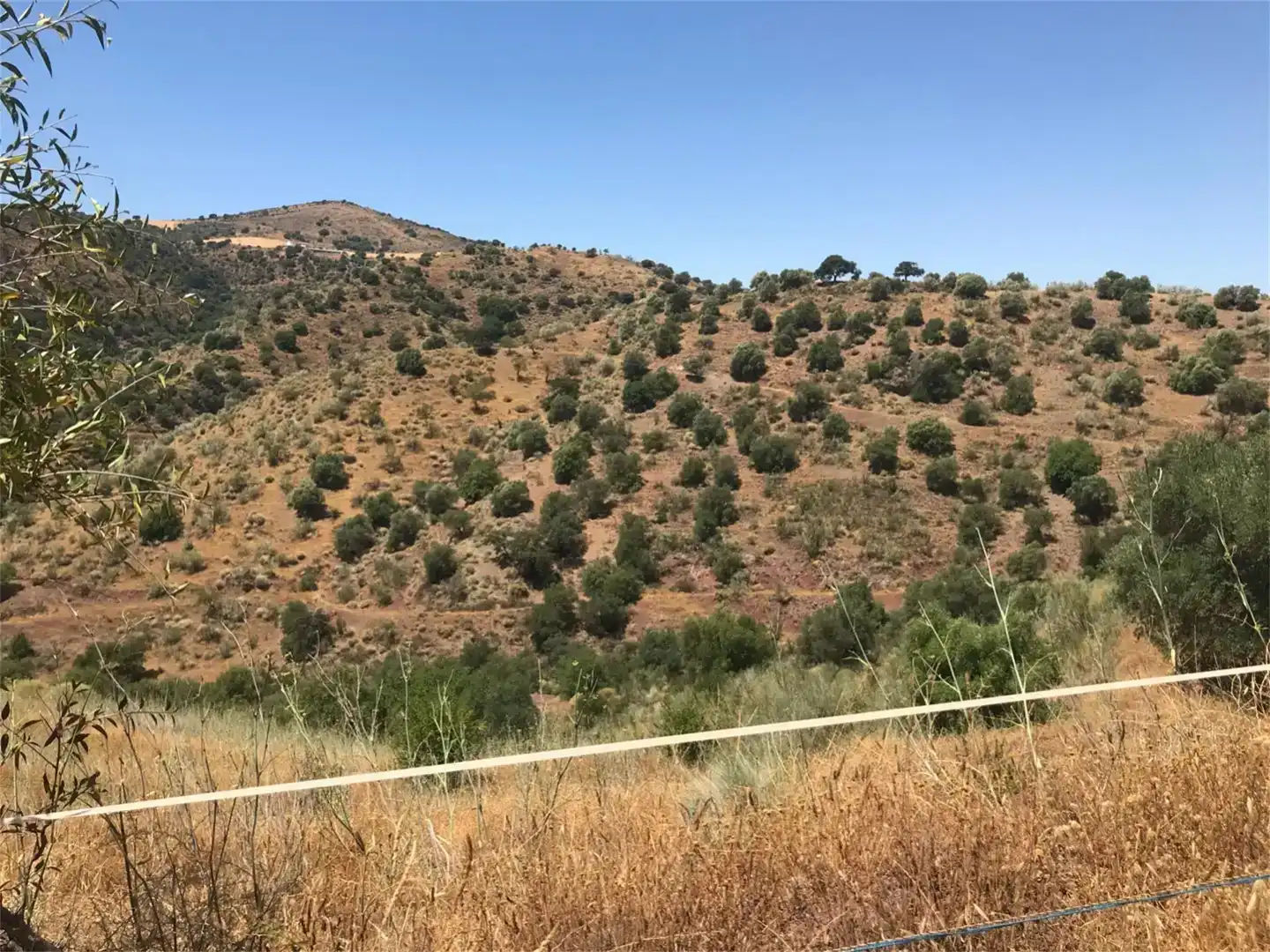 Finca rústica en venta en Almogía
