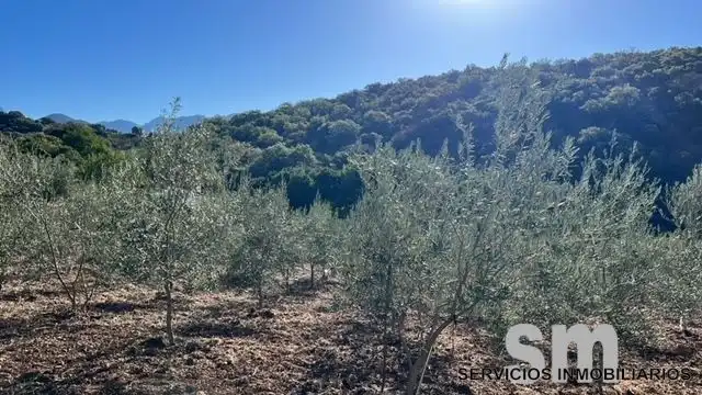 Terreni e lotti in vendita a Benaocaz, imagen 10