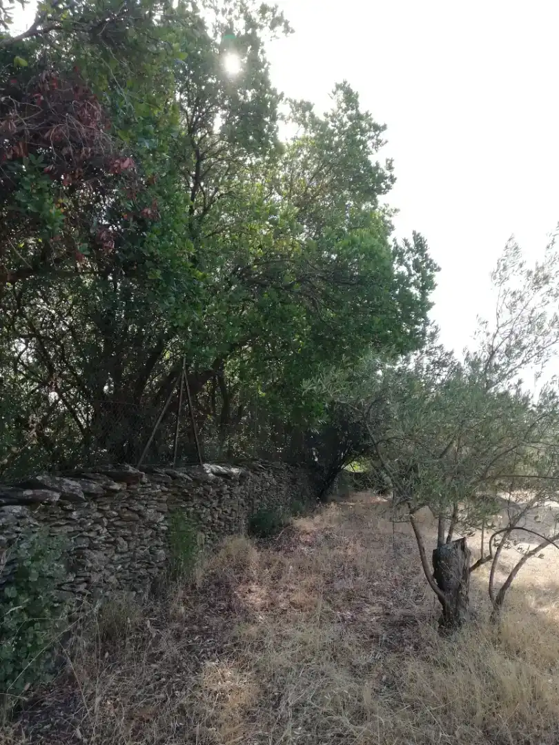 Finca rústica en venda en Plasencia amb Jardí privat, Traster i Piscina