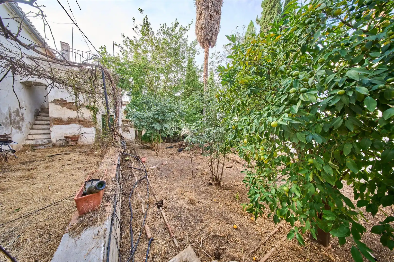 Casa o chalet en venta en Granada con Jardín privado, Terraza y Piscina