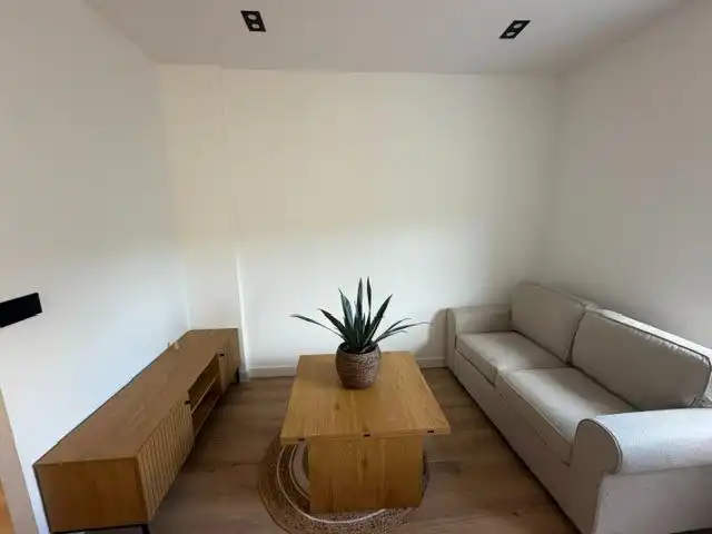 Sala de estar de Apartamento de alquiler en León Capital  con Calefacción, Parquet y Amueblado
