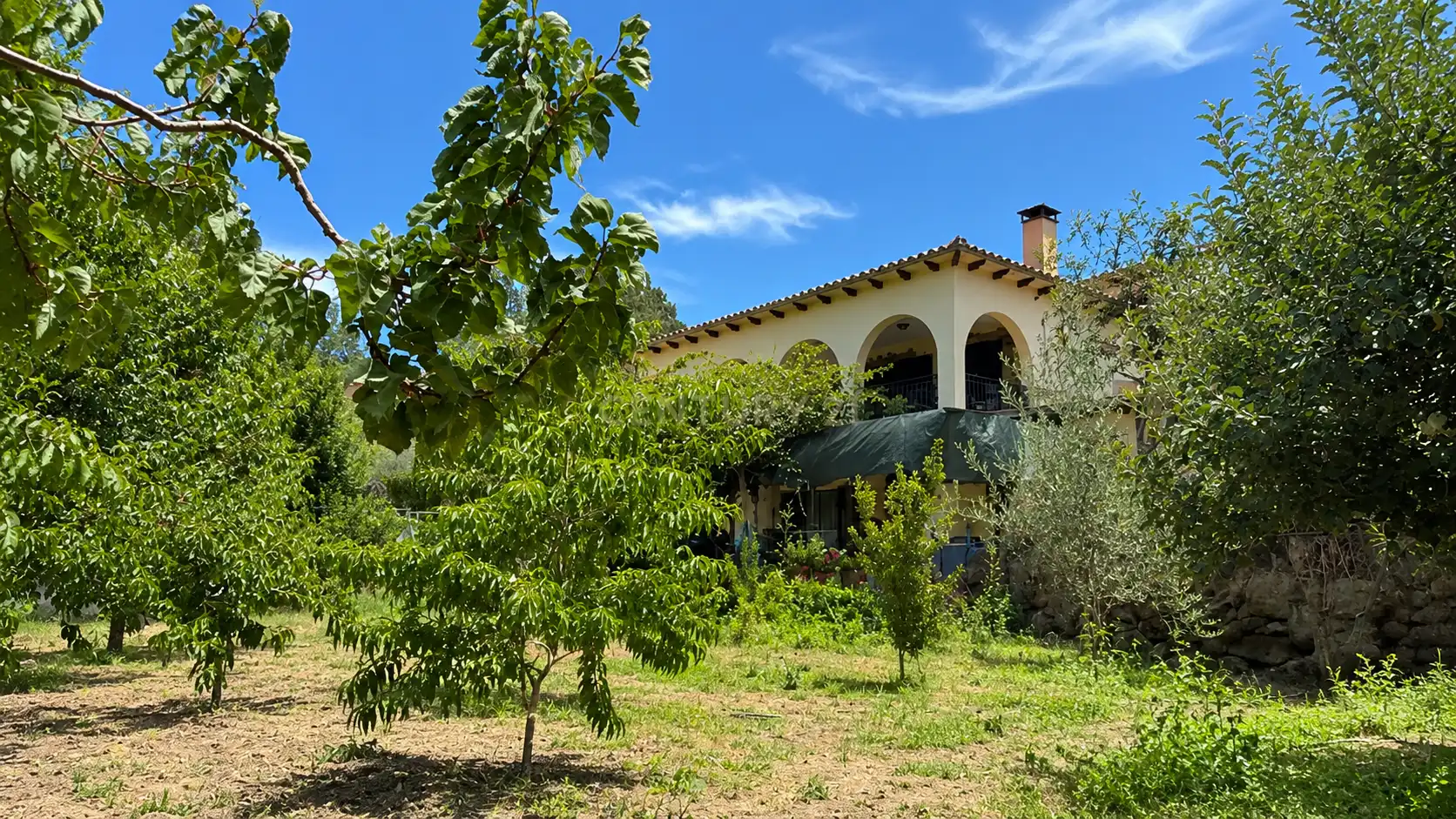 Vista exterior de Casa o xalet en venda en Hervás amb Jardí privat i Balcó