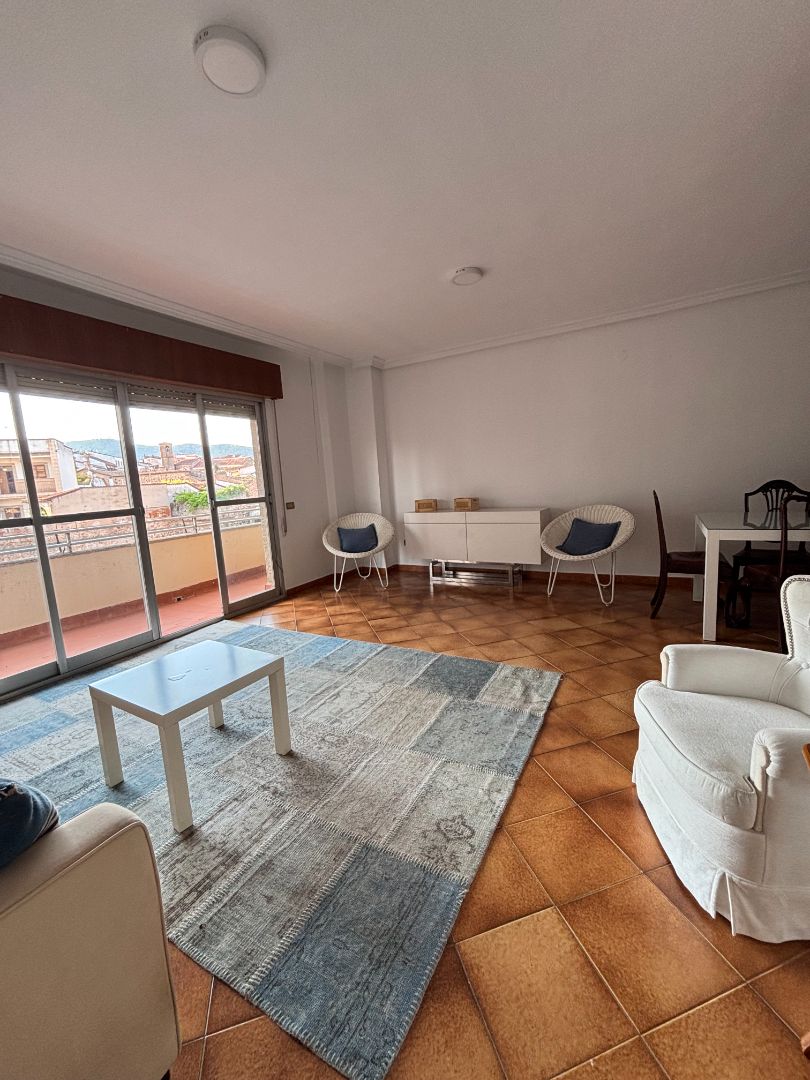 Living room of Flat to rent in Plasencia  with Furnished, Oven and Washing machine
