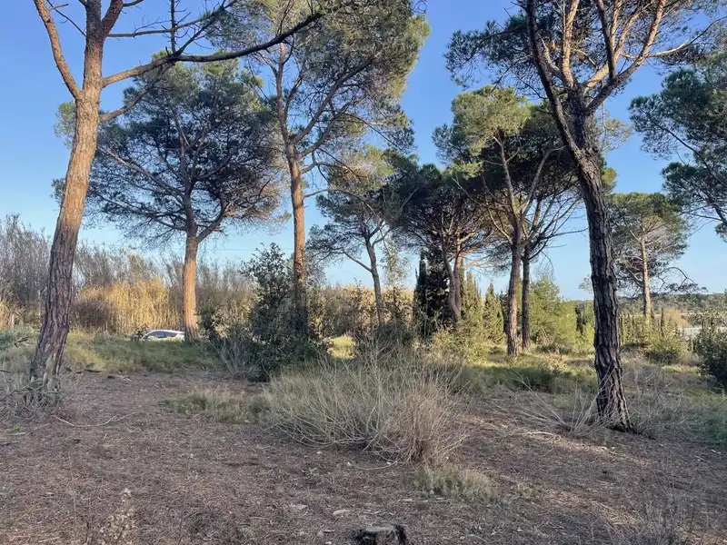 Rural land for sale in INDUSTRIAL CN II, POLIGONO 18, PARCELA 44, imagen 6