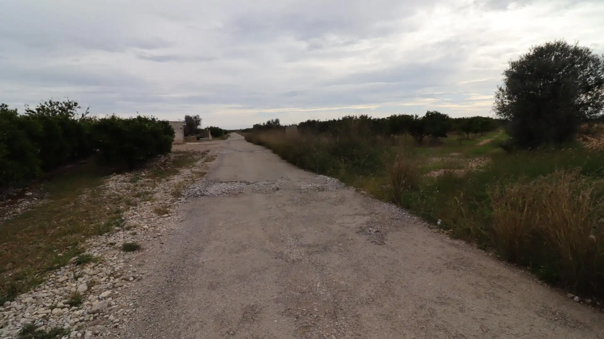Terreno rustico in vendita a Partidas de interior - Zona Rústica, imagen 12