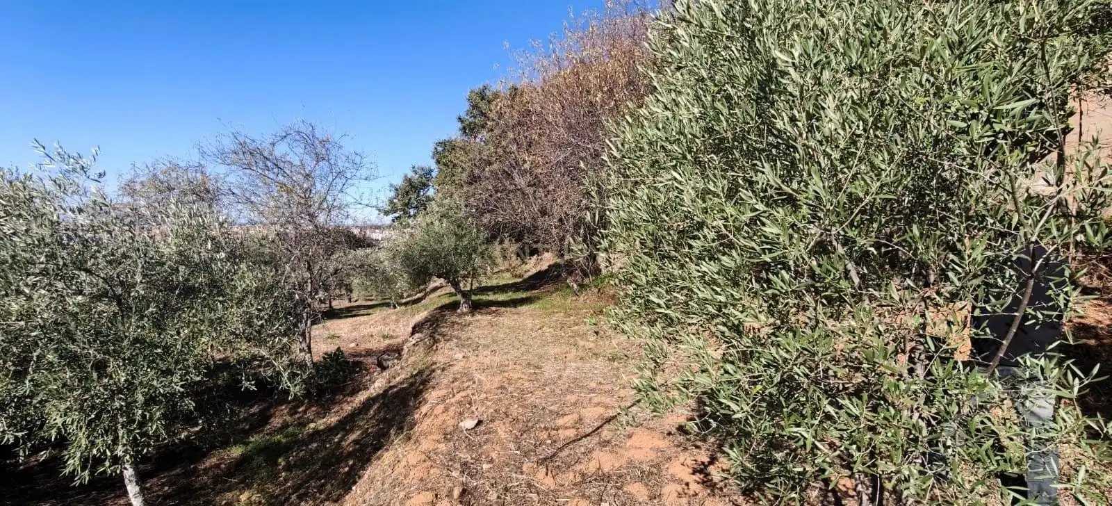 Casa o xalet en venda en Cáceres amb Jardí privat i Piscina