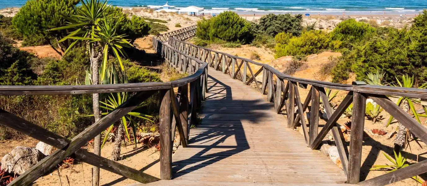 Vista exterior de Casa o xalet en venda en Chiclana de la Frontera amb Jardí privat i Terrassa