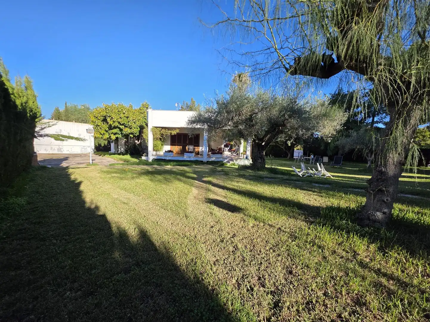 Jardí de Casa o xalet en venda en Castellón de la Plana / Castelló de la Plana amb Jardí privat, Terrassa i Piscina