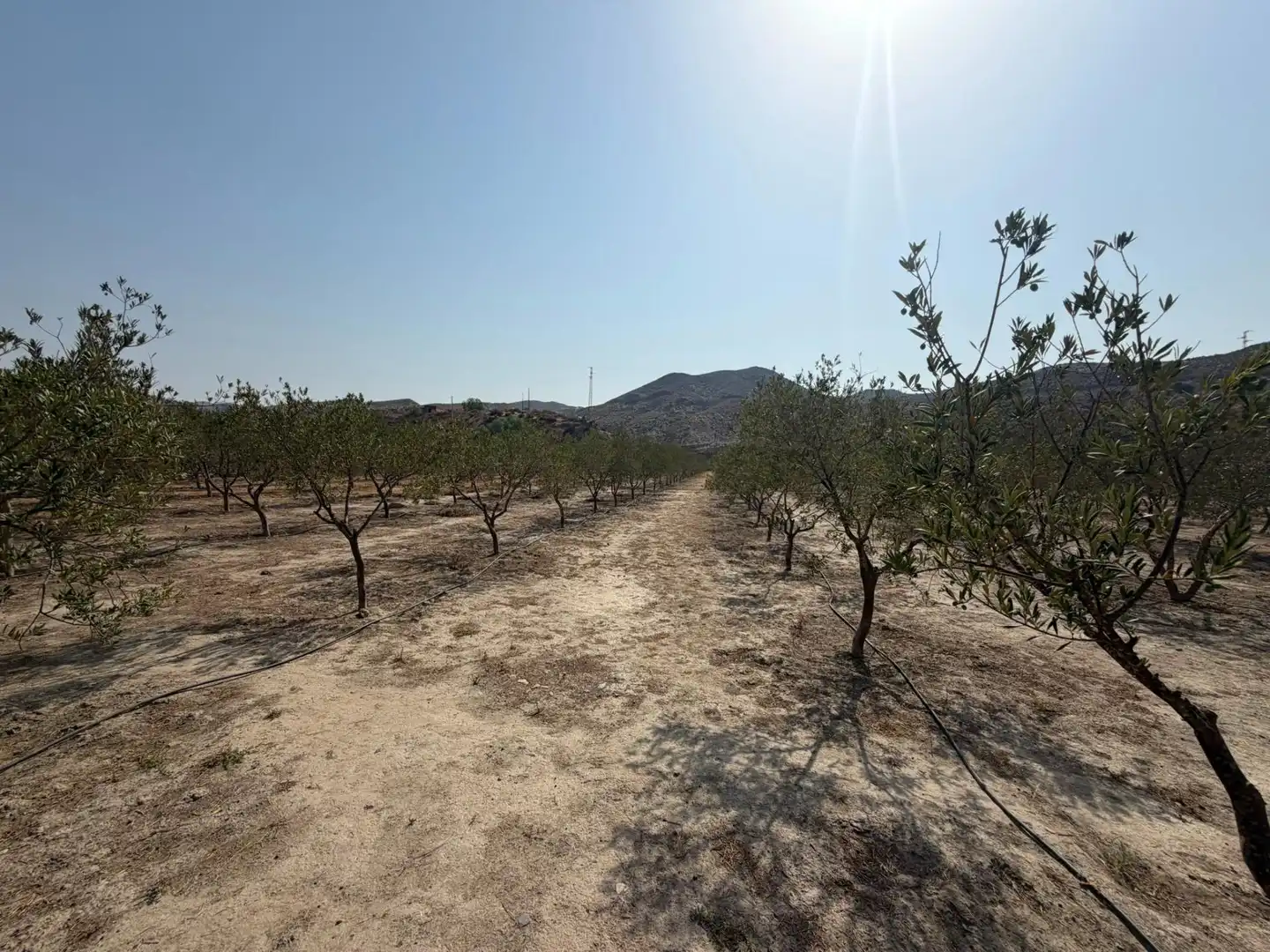 Terreno rustico in vendita a Santa Fe de Mondújar, imagen 15