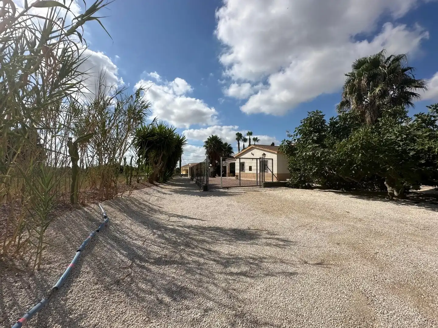 Casa con giardino in vendita a Crevillent, imagen 39