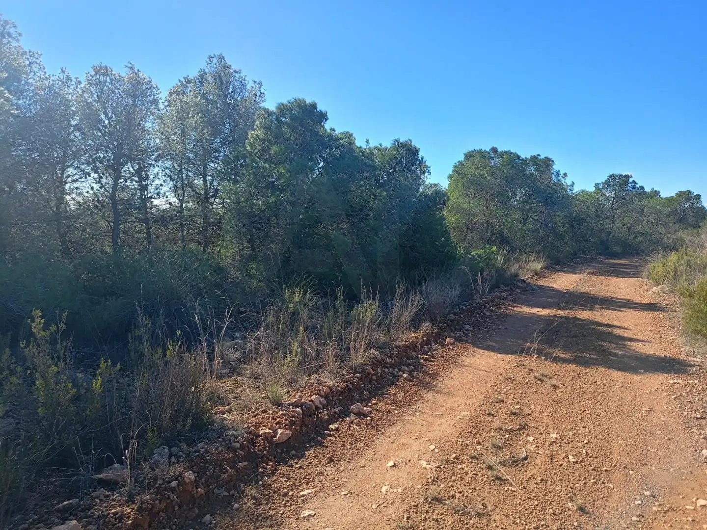 Grundstücke zum Verkauf in Lorca