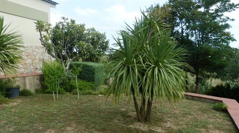 Foto 3 de Casa o chalet en venta en Carrer Gavarres, La Bisbal d'Empordà, Girona