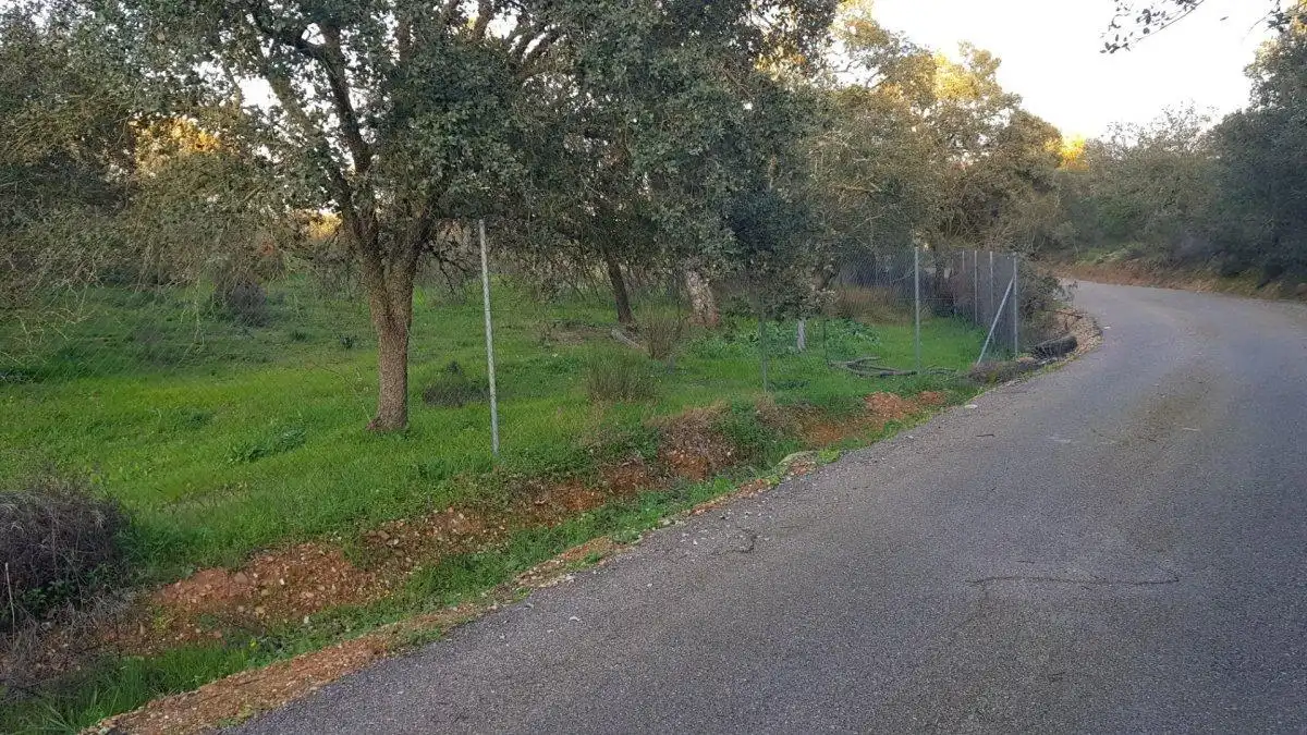 Terreni e lotti in vendita a Calle del Hortelano, imagen 3