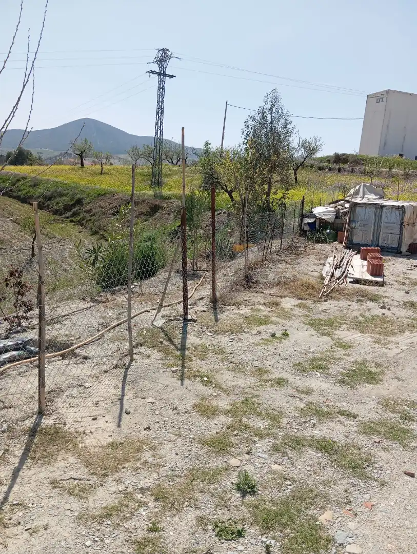 Terreno rustico in vendita a Diseminado Nogalte 63, imagen 3
