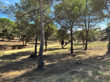 Terrenys i solars en venda a Sant Joan - Vilarromà