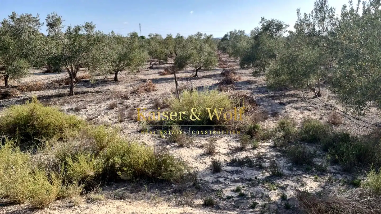 Terrenos y solares en venta en Monforte del Cid, imagen 14