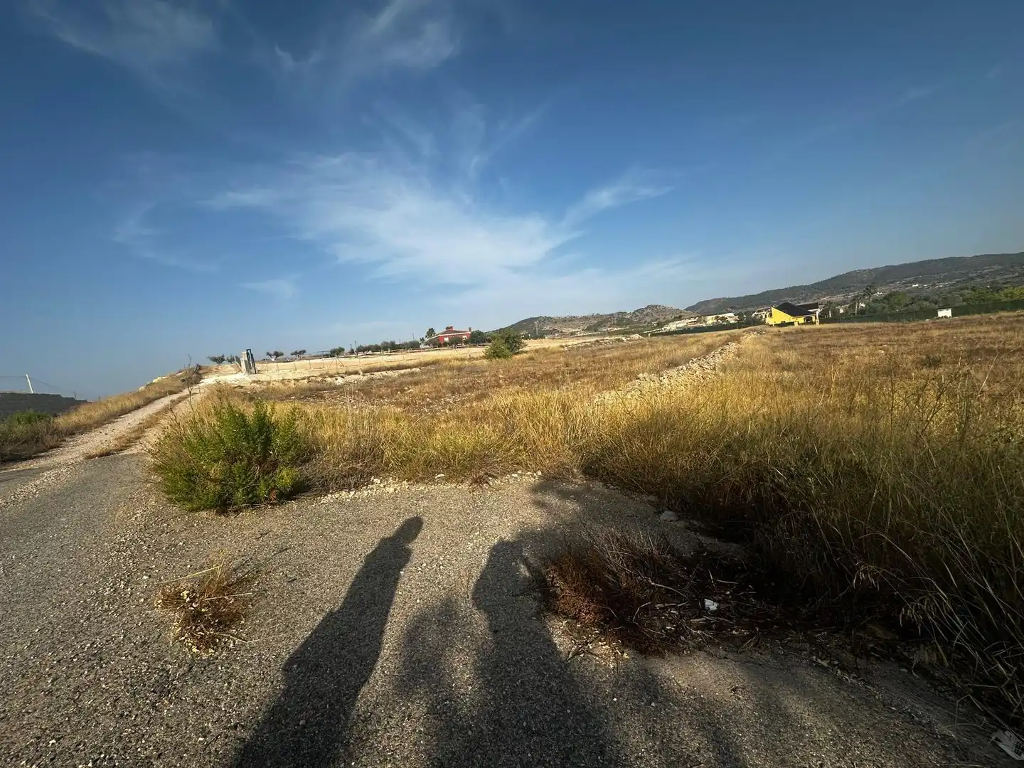 Residential land for sale in El Pinós / Pinoso, imagen 3