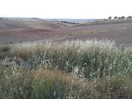 Residential for sale in Tórtola de Henares