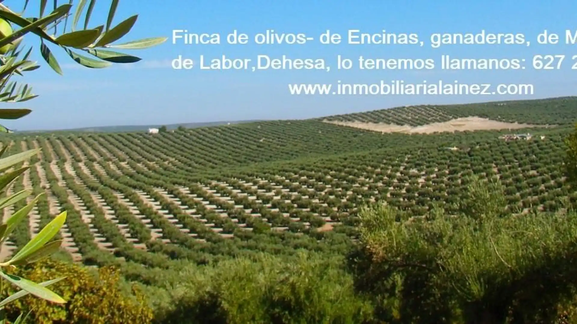 Residencial en venta en Badajoz Capital