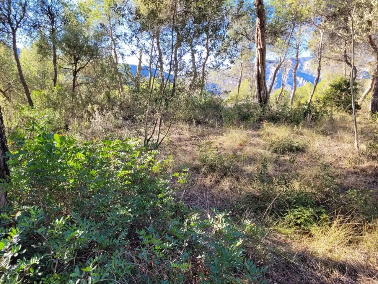 Casa o xalet en venda en Vacarisses amb Aire condicionat, Jardí privat i Piscina