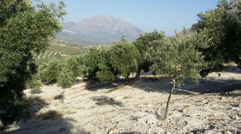 SE VENDE FINCA 1040 OLIVOS EN JÓDAR, imatge 4