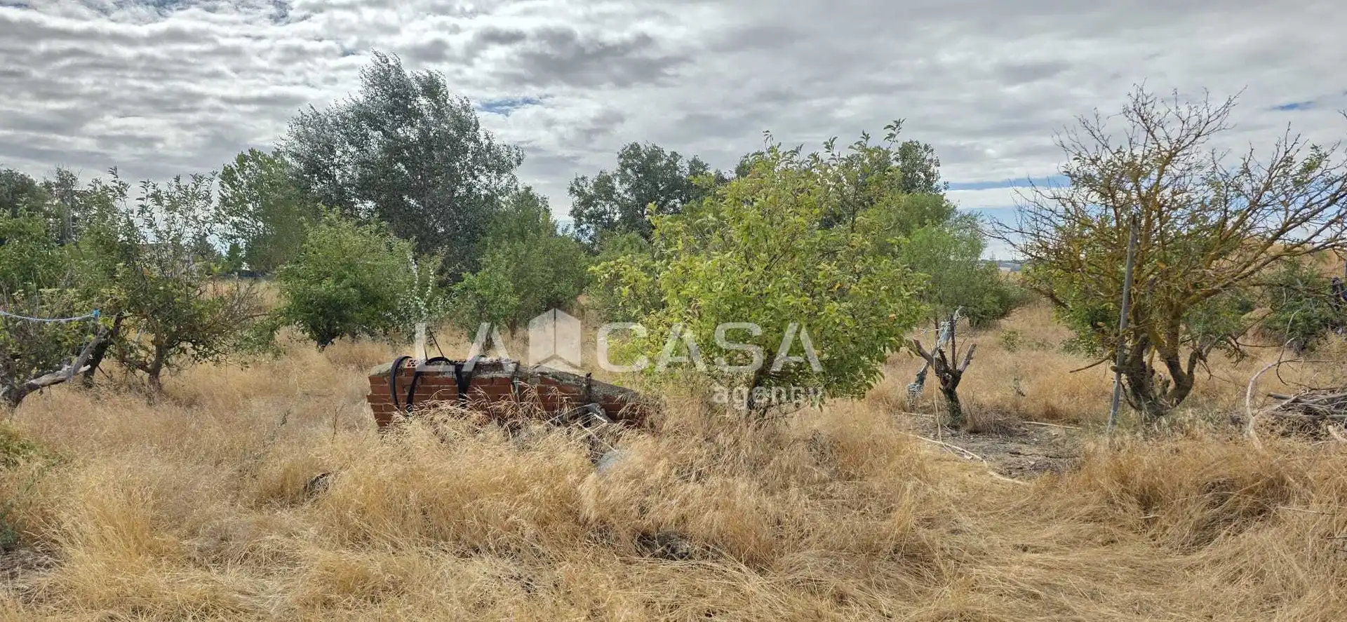Residencial en venta en Meneses de Campos, Palencia