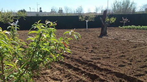 Foto 5 von Grundstücke zum Verkauf in La Punxa, Palafrugell