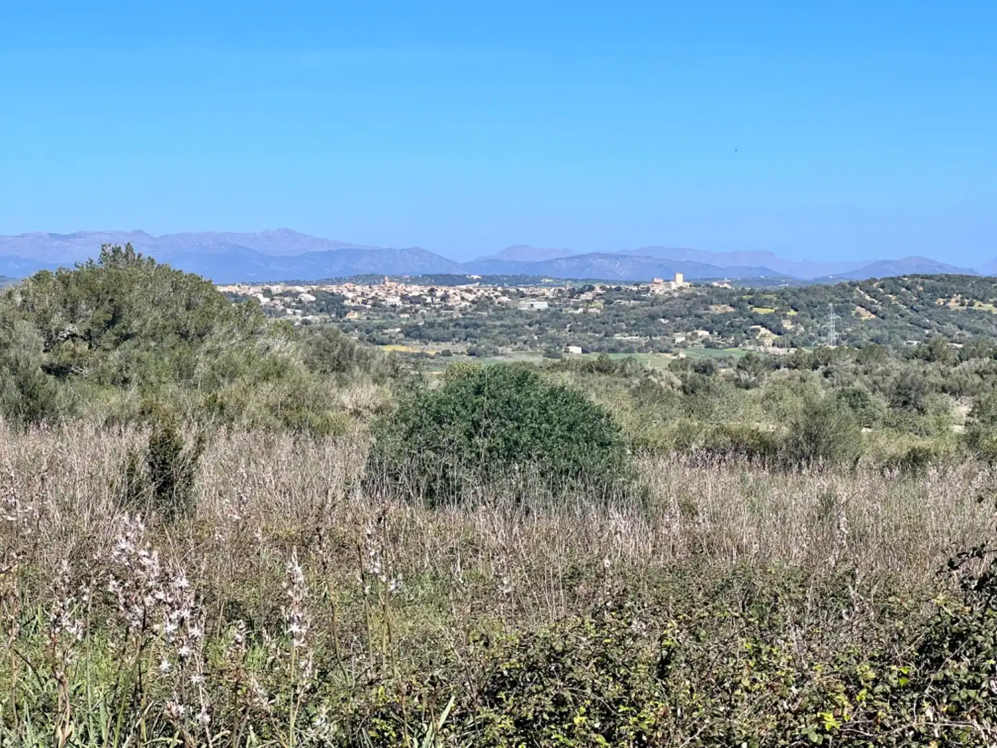 Finca rústica en venta en Petra