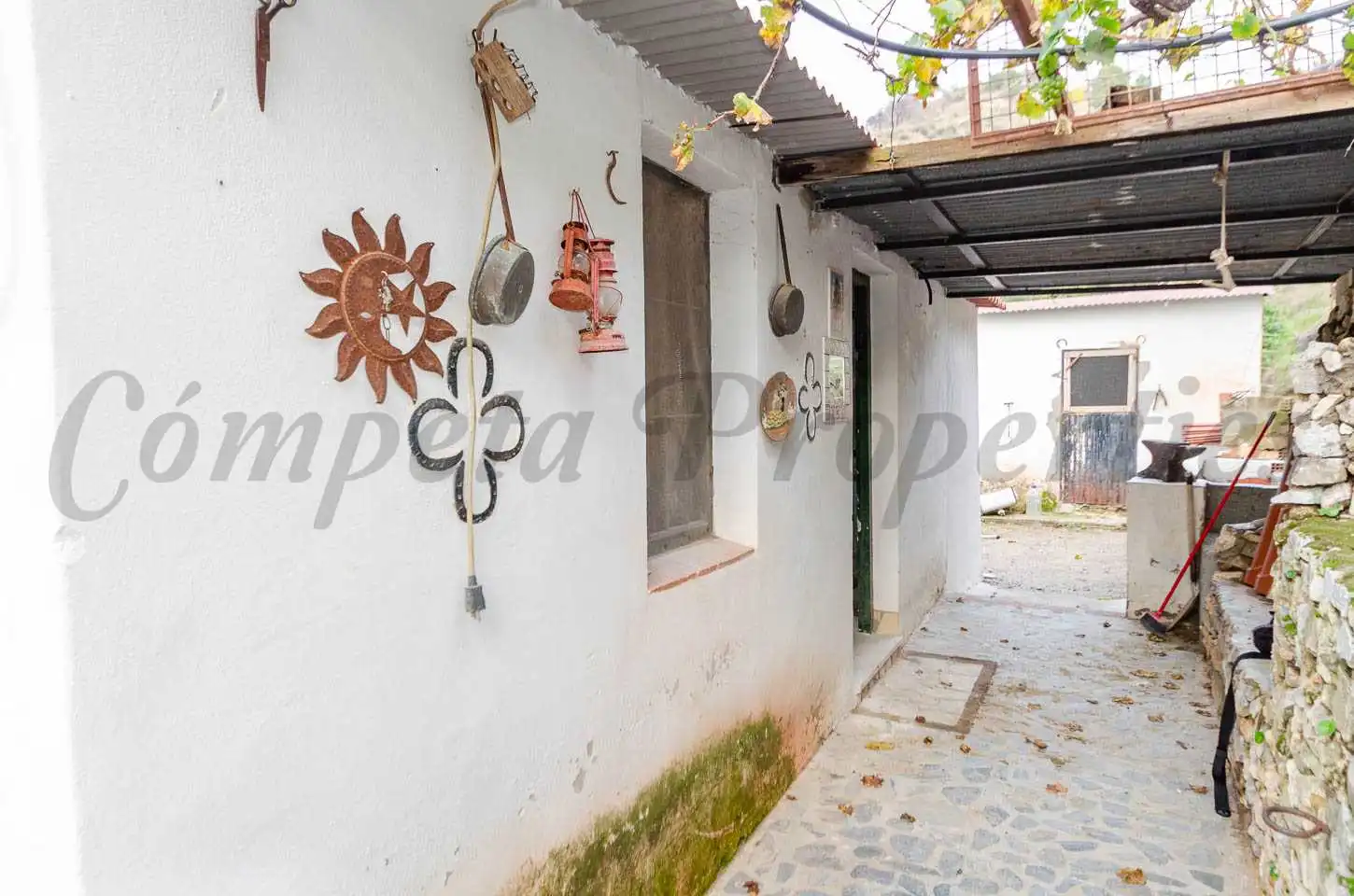 Vista exterior de Finca rústica en venta en Cómpeta con Jardín privado y Terraza