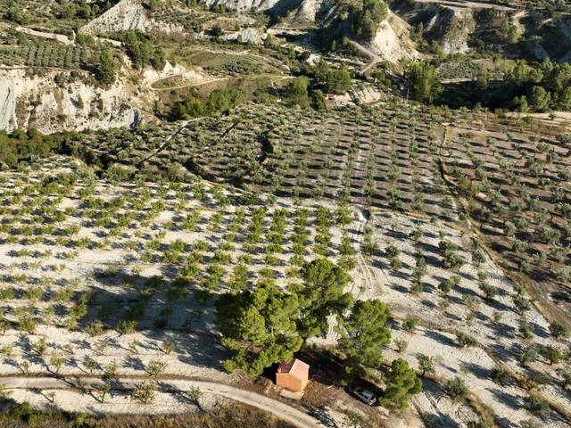 Terreno en Venta en Lugar Diseminados, 31 en Balones