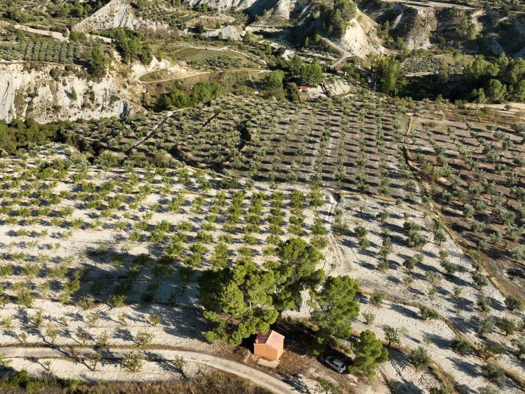 Land for sale in Balones
