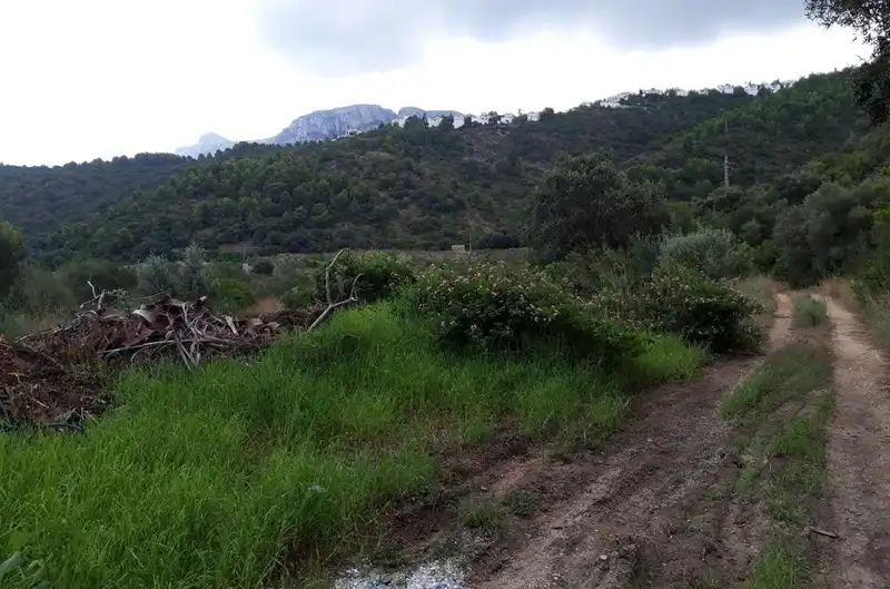 Terreno residencial en venta en Polígono 1 Parcela 130 RACONS DE PEGO, imagen 10