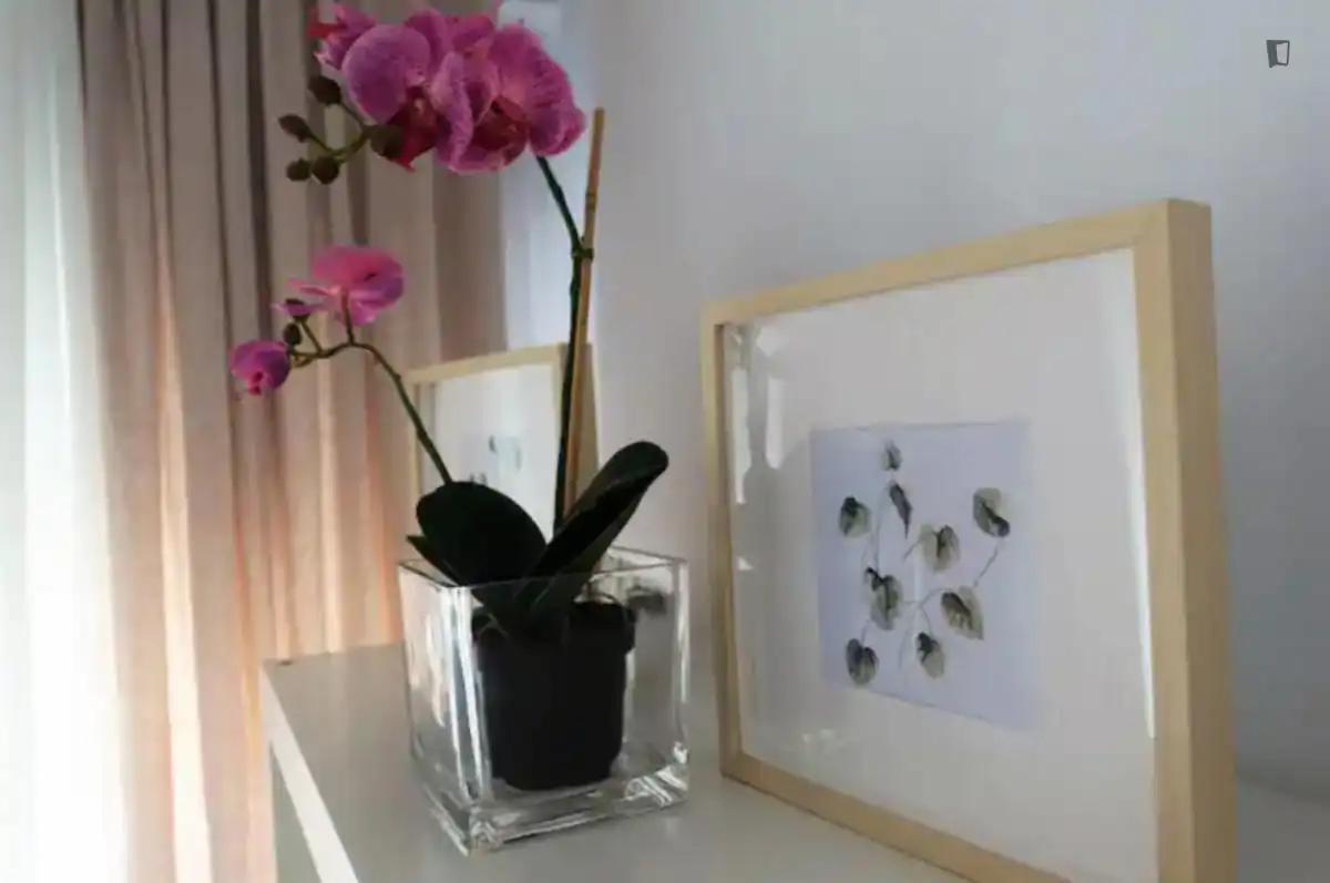Apartamento de alquiler en Morvedre