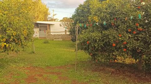 Foto 5 de Casa o xalet en venda a Las Lagunas - Campano, Chiclana de la Frontera
