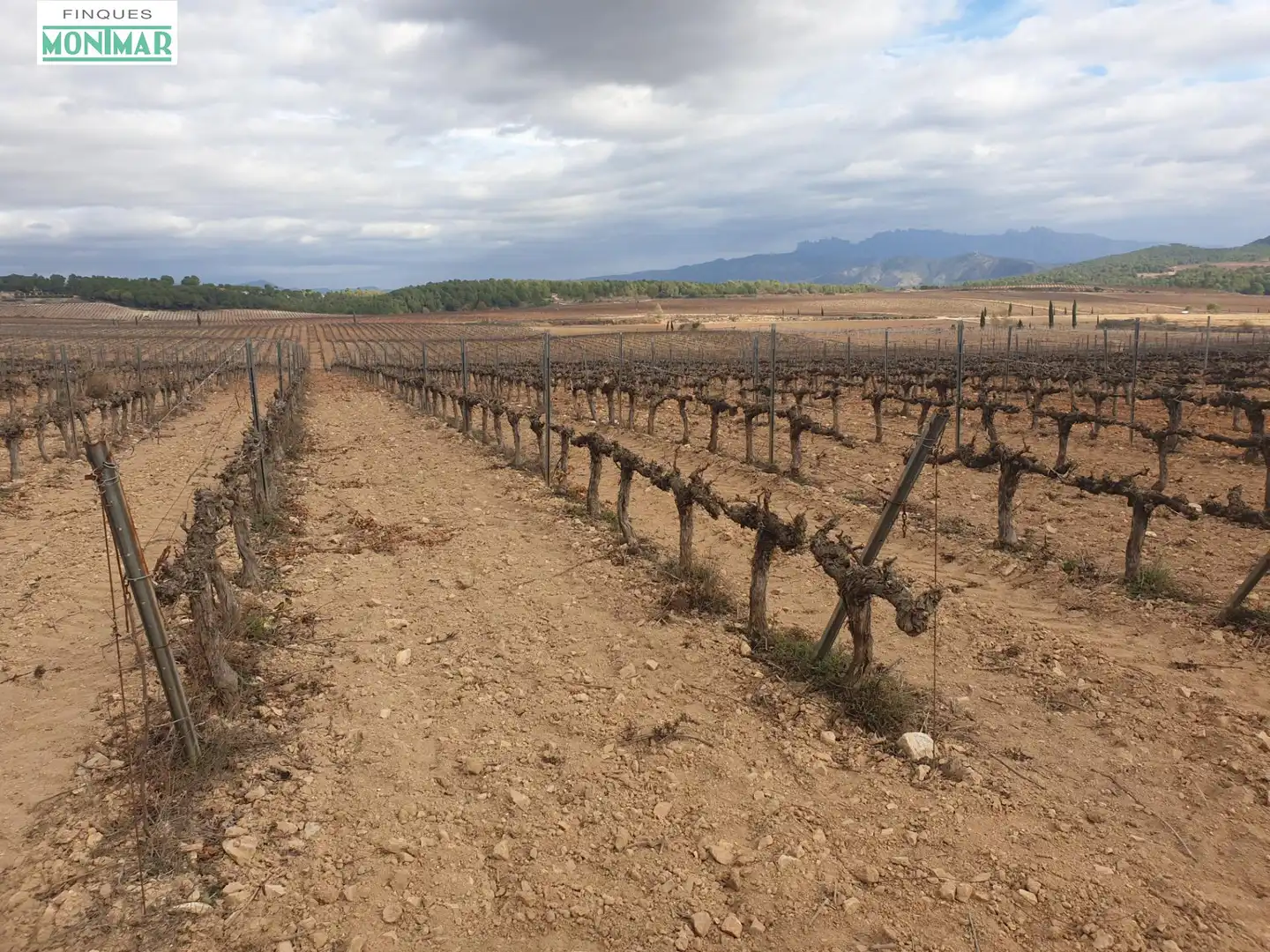 Finca rústica en venda en Vilafranca del Penedès