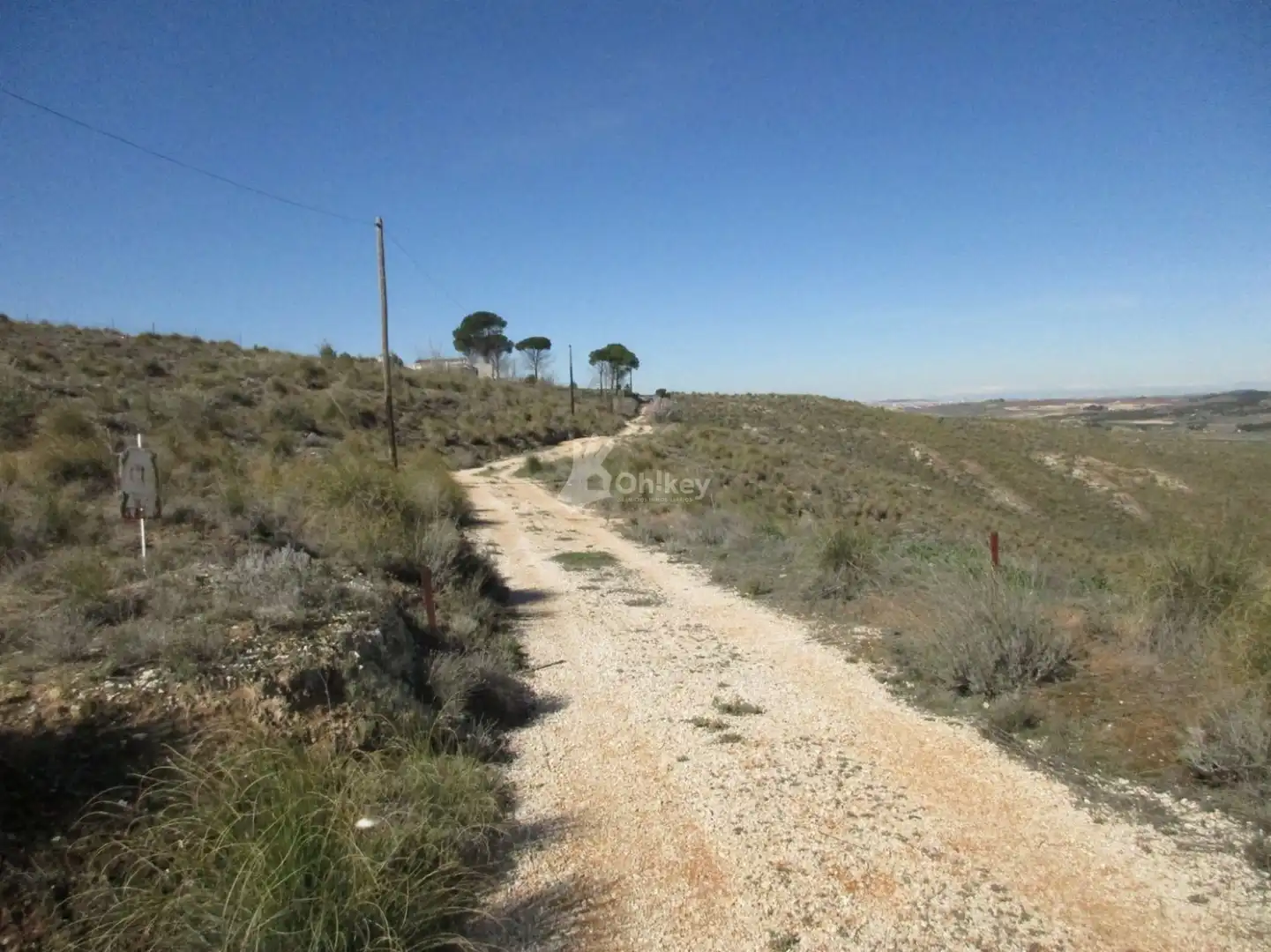 Rural land for sale in Chinchón, imagen 3