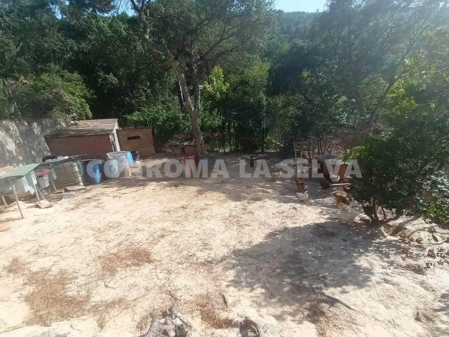 Residential land for sale in Montbarbat, imagen 7