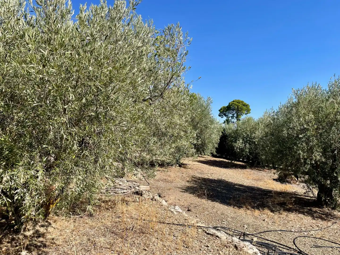 Country homes for sale in Valdepeñas