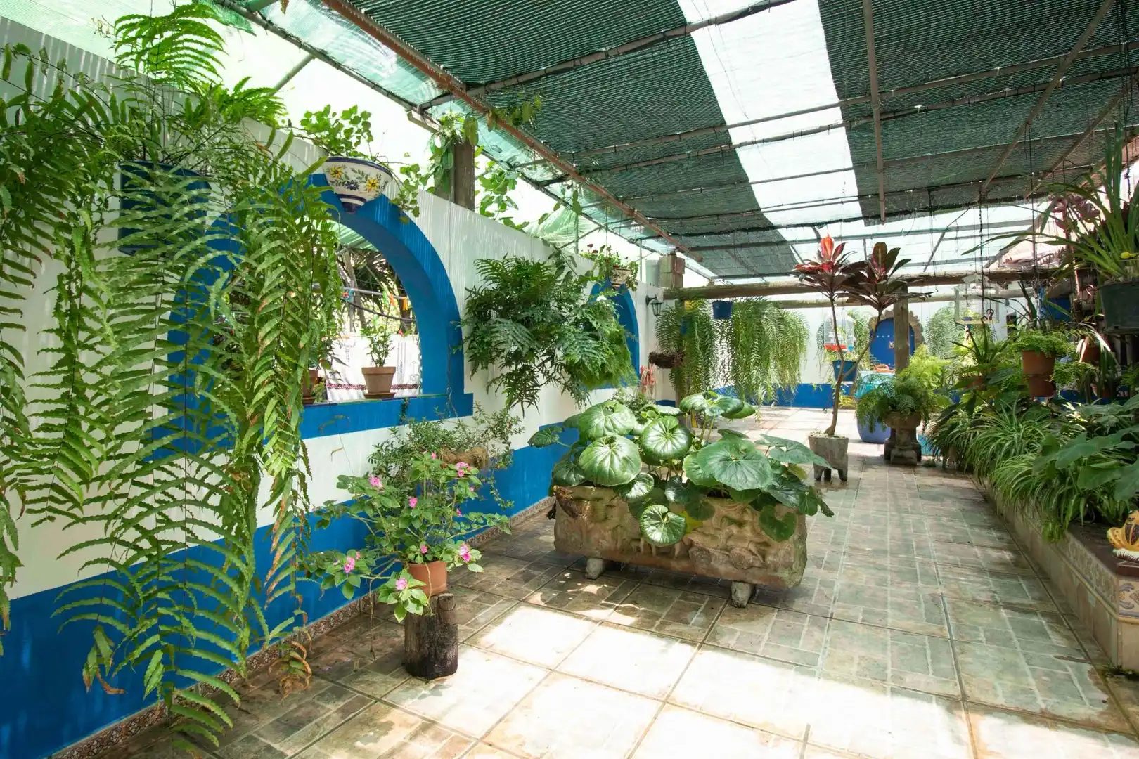 Terrassa de Casa o xalet en venda en Icod de los Vinos amb Jardí privat, Terrassa i Traster