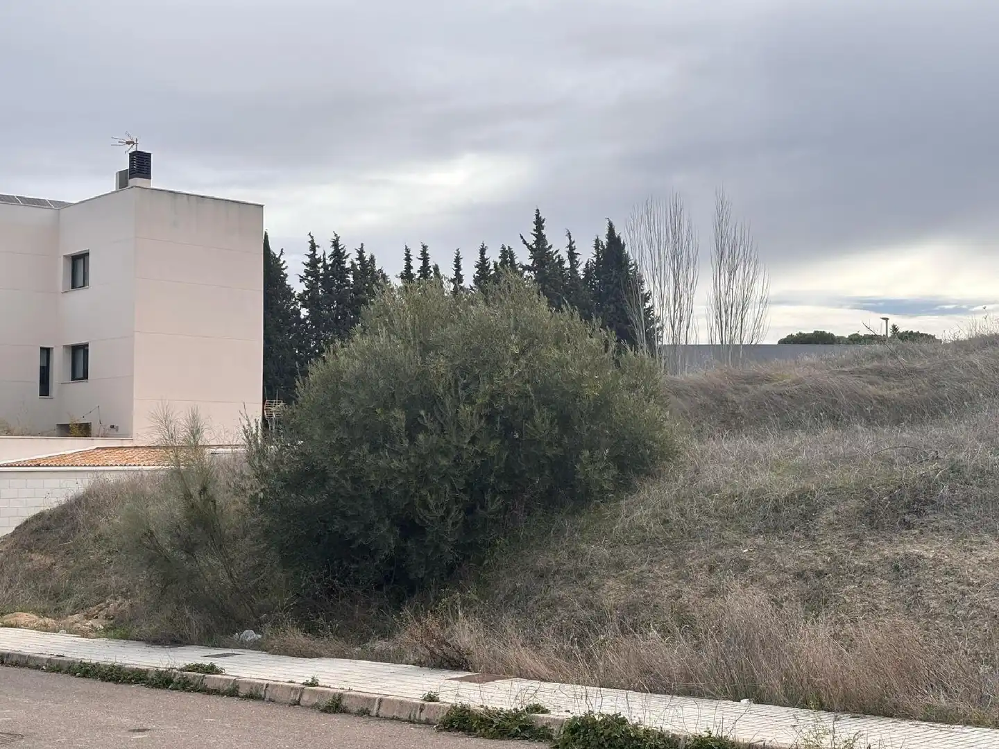 Terreni e lotti in vendita a Villanueva del Arzobispo, imagen 3