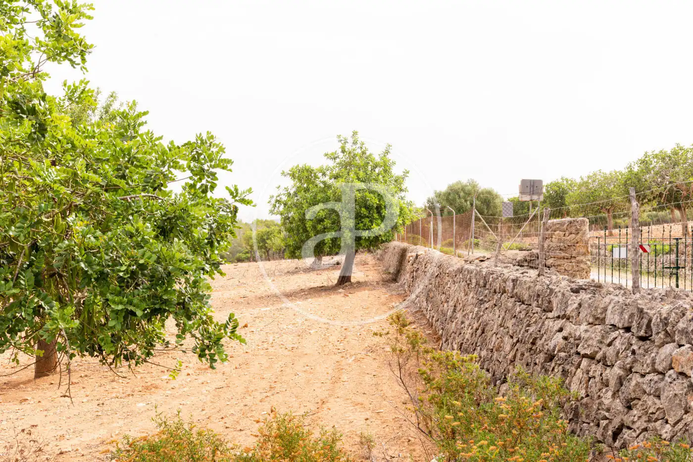 Terreno residenziale in vendita a Cami de.'s Presos, imagen 2