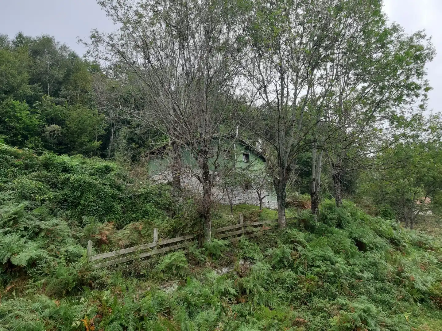 House with garden for sale in Cangas de Onís, imagen 4