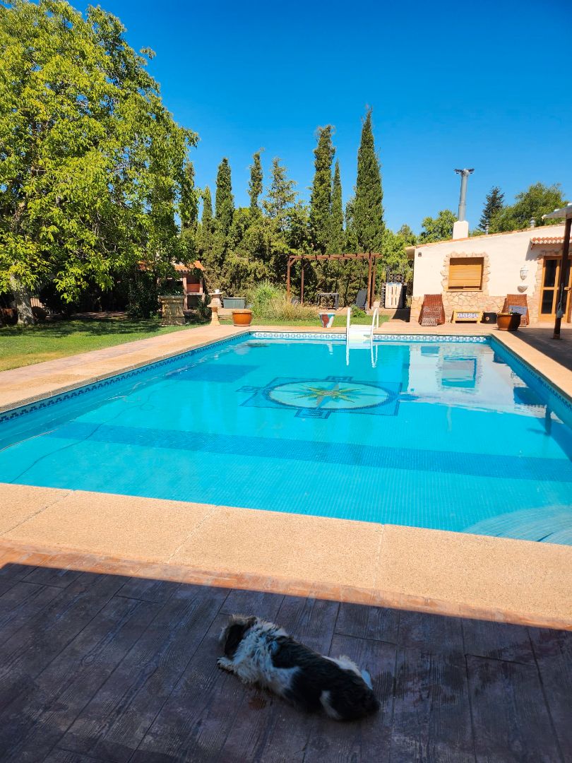 Piscina de Casa o xalet en venda en  Albacete Capital amb Aire condicionat, Calefacció i Jardí privat