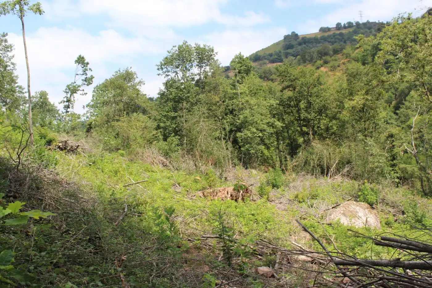 Finca rústica en venta en Sunbilla