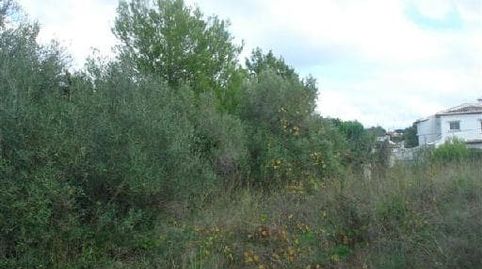Foto 4 de Terreno en venta en Ptda Casalaes, Pol 27, Partides comunes - Adsubia, Jávea / Xàbia
