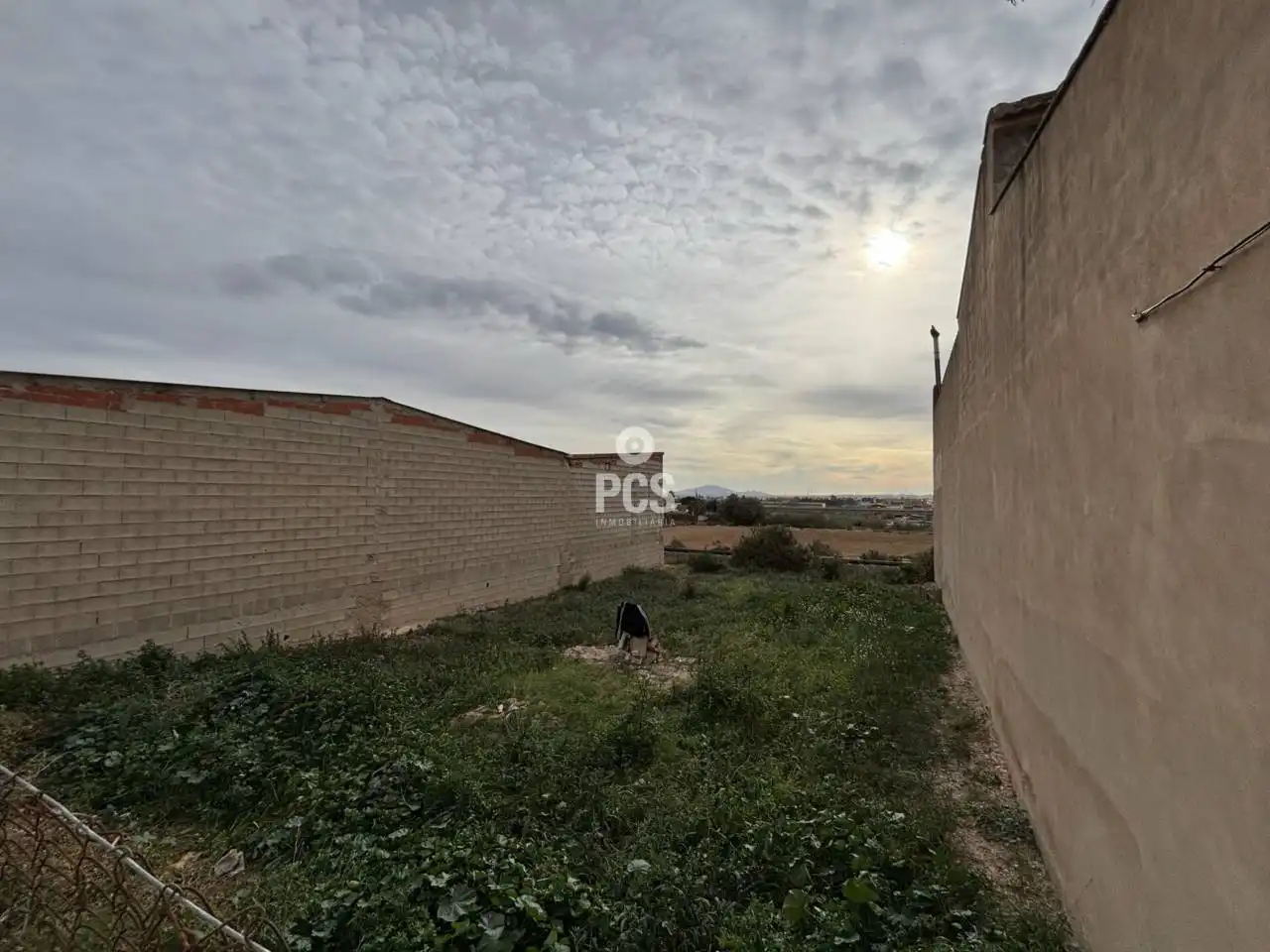 Terreny rústic en venda a Calle Barrio Las Peras S/N, imagen 15